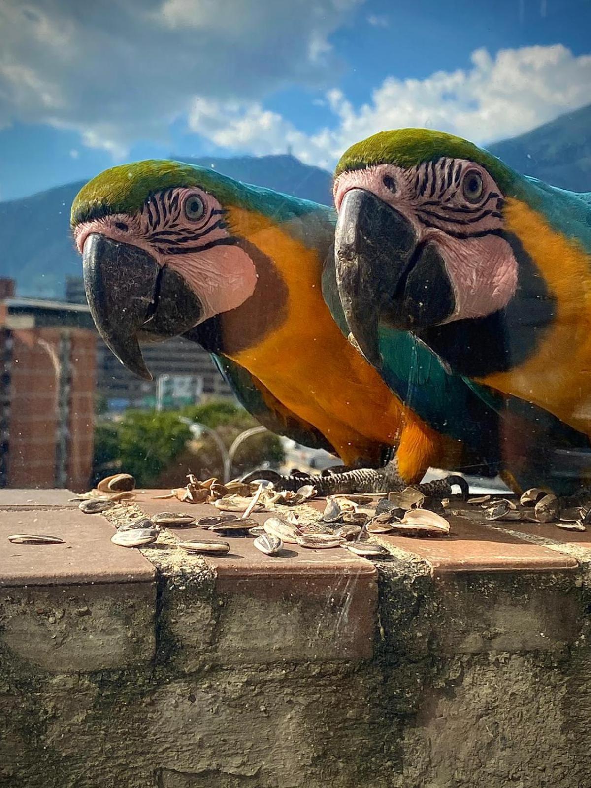 Ololo Caracas B&B ภายนอก รูปภาพ